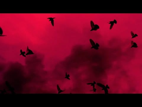 Papa Dance — Papa Dance  -  Co za noc (Official Lyric Video)