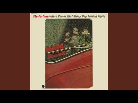 The Fortunes — The Night Started To Cry