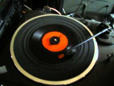 De Electronica's — De Electronica's - la danse des petits chats