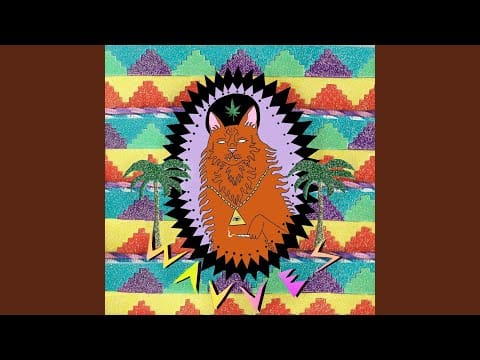 Wavves — Idiot