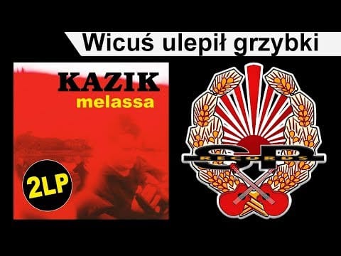 Kazik Staszewski — KAZIK - Wicuś ulepił grzybki [OFFICIAL AUDIO]