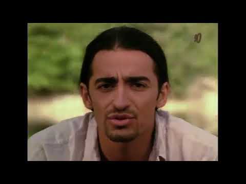 Tamer — TAMER - RENKLER