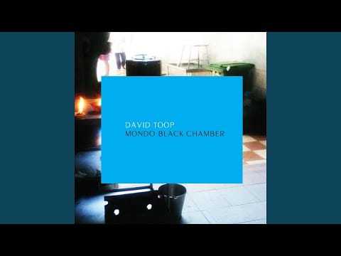 David Toop — Soft Cavities