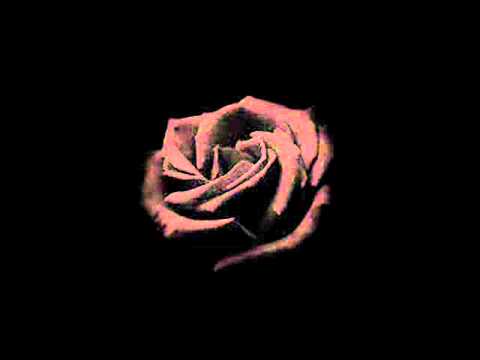 Diary Of Dreams — diary of dreams-tears of laughter