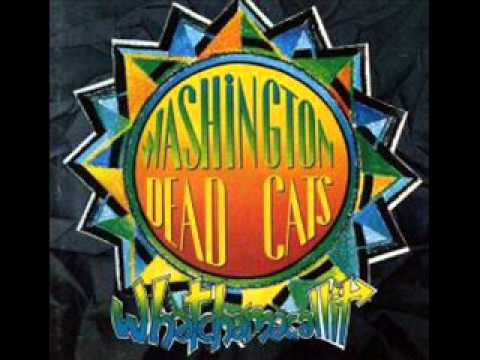 Washington Dead Cats — Washington Dead Cats - Trance-world train (1991)