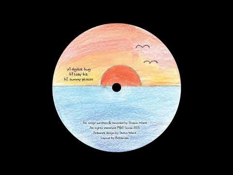 Shawn Ward — Shawn Ward - Sunny Side [DENTRO001]