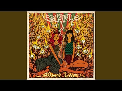 Baustelle — Signora ricca di una certa età (Live)