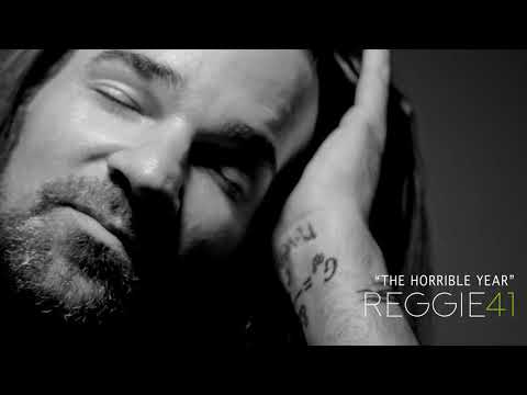 Reggie and the Full Effect — Reggie and the Full Effect "The Horrible Year"