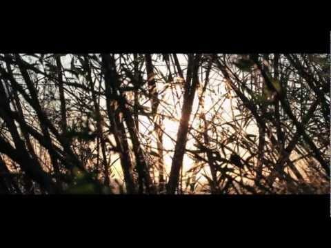 School of Seven Bells — School of Seven Bells - Reappear [Fan Generated Video]