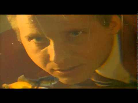 Elektryczne Gitary — Elektryczne Gitary - Co Powie Ryba [Official Music Video]