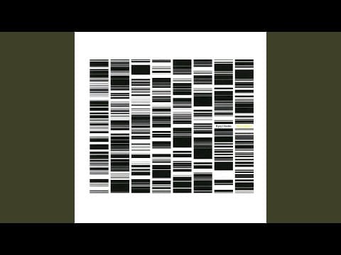 Ryoji Ikeda — test pattern #0101