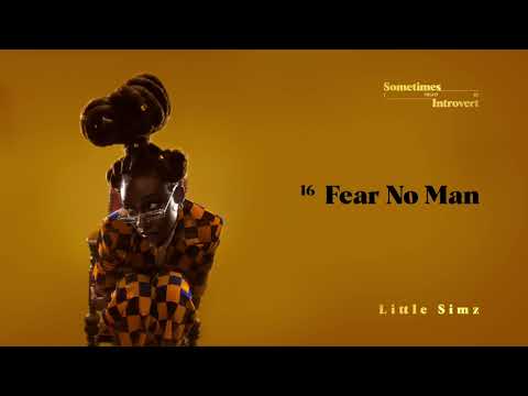 Little Simz — Fear No Man