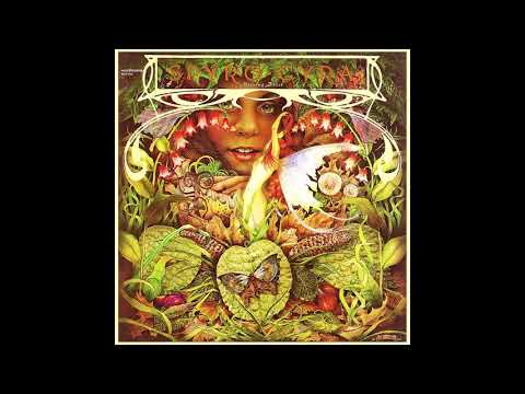 Spyro Gyra — Spyro Gyra   Morning Dance on HQ Vinyl
