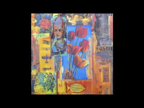 The Gun Club — The Gun Club - Pastoral Hide & Seek 1990 Full Album Vinyl