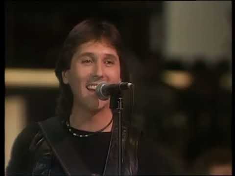 The Tremeloes — The Tremeloes  -  My Little Lady