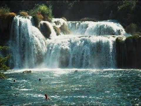 Zlatan Stipišić Gibonni — Gibonni - Divji cvit
