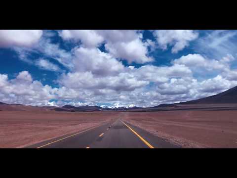 Thylacine (4) — THYLACINE - The Road (Official Video)
