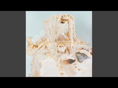 Pale Saints — Hair Shoes (2023 Remaster)