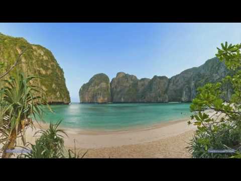 Palamino — Palamino - Oh My! (Elliot Long Edit)