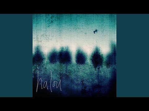 Halou — Professional