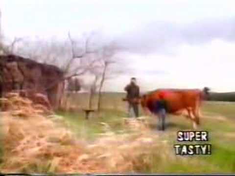 fIREHOSE — fIREHOSE - Walking The Cow video w/Mike Watt intro