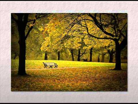 Paul Mauriat And His Orchestra — Paul Mauriat - Love story (1971)