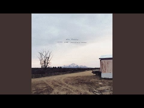 Will Johnson — [You Were] Just Barely You