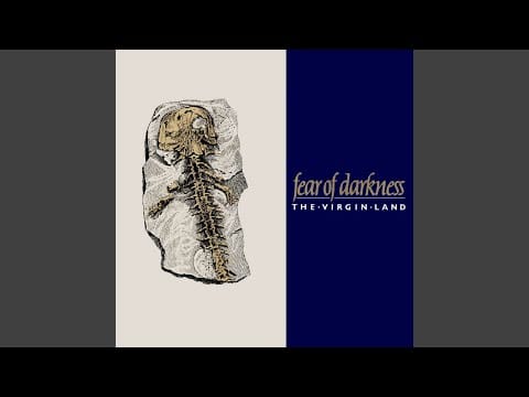 Fear Of Darkness — Fear of Darkness (Live)