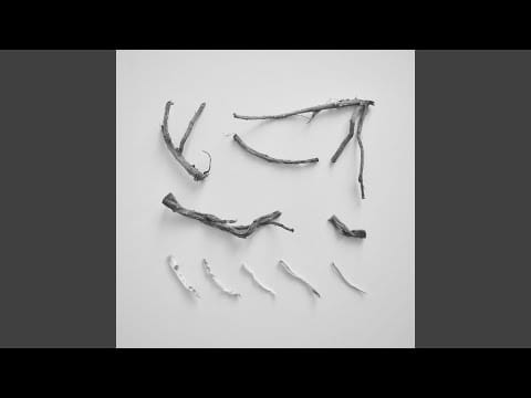 Richard Skelton — For The Application of Fire