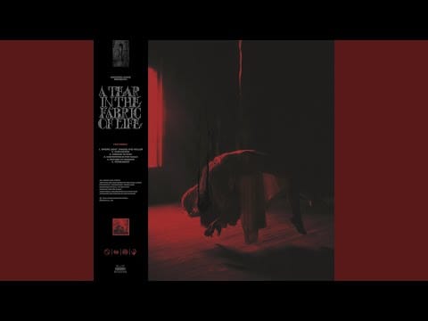 Knocked Loose — Where Light Divides the Holler