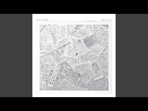 Jan Jelinek — Fountain