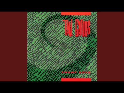 The Tail Gators — Rock and Roll 'till the Cows Come Home
