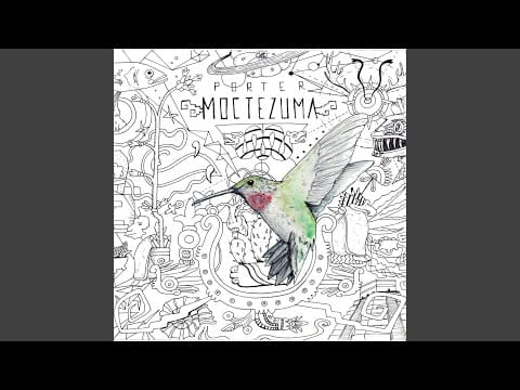Porter (4) — Murciélago