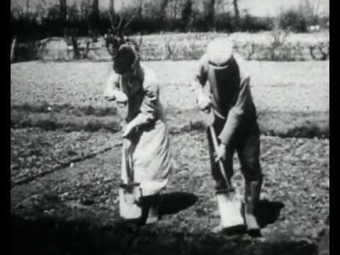 Public Service Broadcasting — PUBLIC SERVICE BROADCASTING - DIG FOR VICTORY