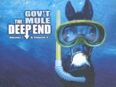 Gov’t Mule — Gov't Mule - Soulshine(Hidden Treasures) - The Deep End Vol. 1