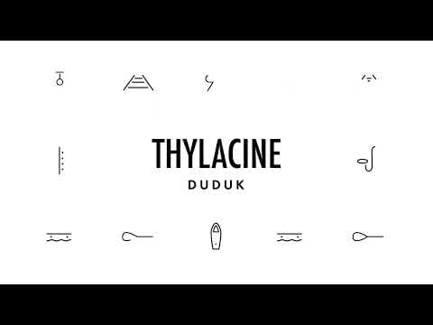Thylacine (4) — THYLACINE - Duduk
