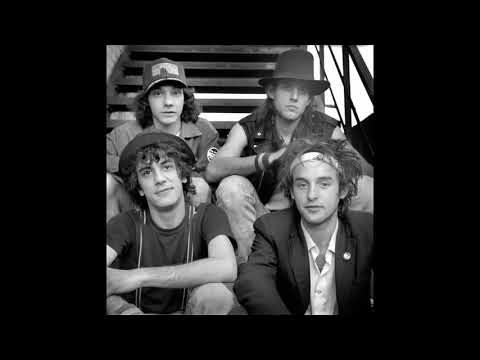 The Nils — THE NILS - CALL OF THE WILD