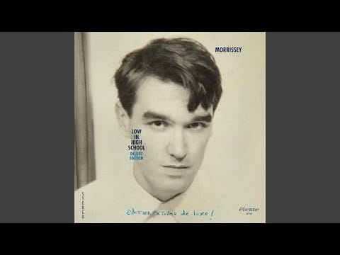 Morrissey — You'll Be Gone (Live)