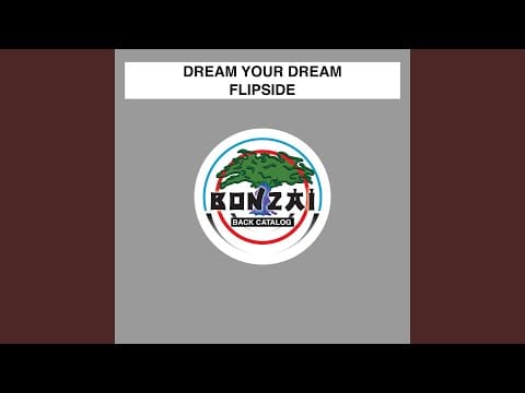 Dream Your Dream — Kamikaze