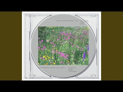Kazufumi Kodama — New Silent Days