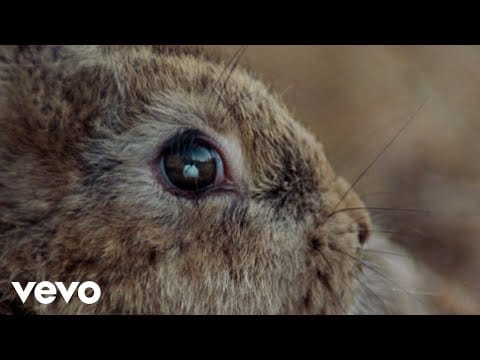 Ben Howard — What A Day