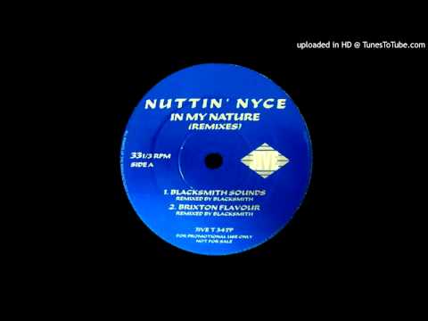 Nuttin' Nyce — Nuttin' Nyce - In My Nature (Brixton Flavour 12" Mix) (1993)