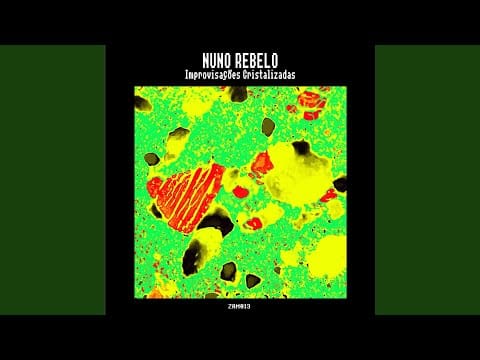 Nuno Rebelo — Natty Cat