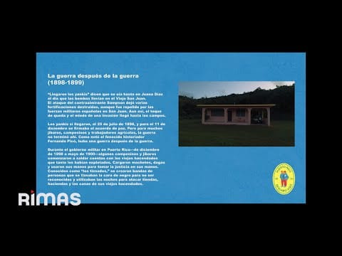 Bad Bunny — BAD BUNNY - VOY A LLeVARTE PA PR (Visualizer) | DeBÍ TiRAR MáS FOToS