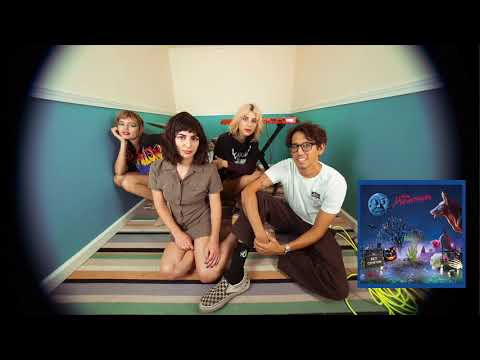The Paranoyds — The Paranoyds - Pet Cemetery (Official Audio)