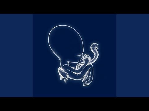 Sigur Rós — Flugufrelsarinn