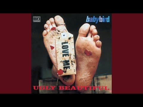 Babybird — Dead Bird Sings
