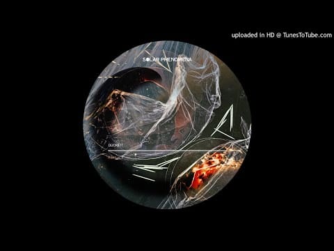 Duckett — Duckett - Risks