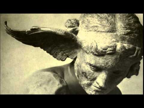 The Rorschach Garden — The Rorschach Garden - Morpheus