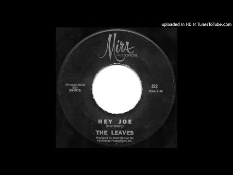 The Leaves — The Leaves - Hey Joe